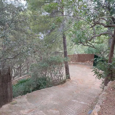 En Primera Línea De Mar Con Amplia Terraza Villa Bañalbufar (Banyalbufar)