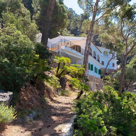 En Primera Línea De Mar Con Amplia Terraza Bañalbufar (Banyalbufar)